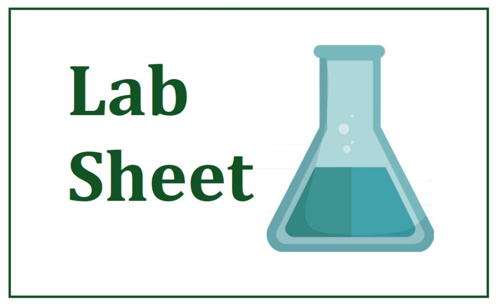 labsheettemplate